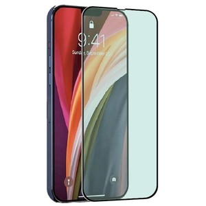 VERRE TREMPE ANTIBACTERIEN TIGER GLASS PLUS IPHONE 13 PRO MAX  Transparent