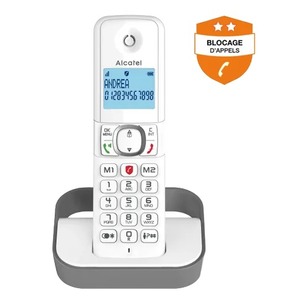 DECT AVEC BLOCAGE D APPELS F860 SOLO Gris