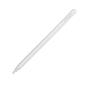 Stylet pour iPad Blanc