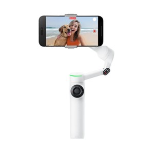 Insta360 Flow 2 Pro Standard Gris