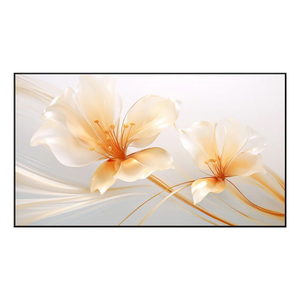 ECRAN DE PROJECTION ALR 100