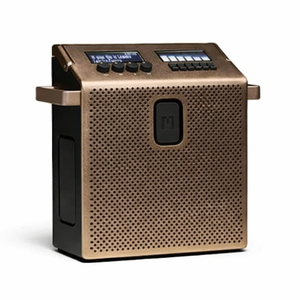 Enceinte Bluetooth MONDO MEDIUM 60W Auracast Cuivre