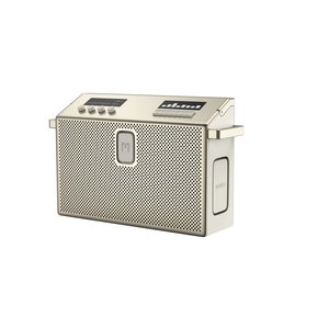 ENCEINTE BLUETOOTH LARGE AURACAST 96W